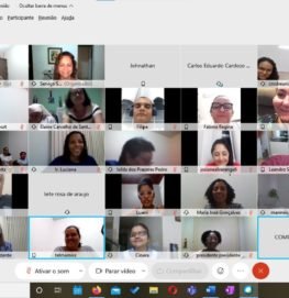 Pessoas na Live Seminario das Juventudes